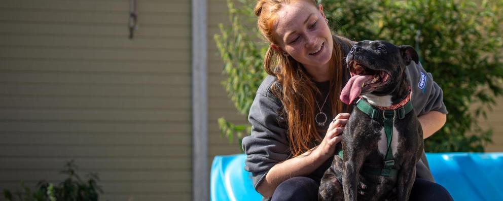 An RSPCA animal care assistant with a rescued dog in a garden.