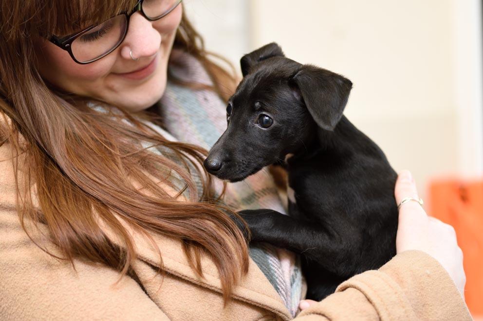 Small black puppy held in smiling woman's arms.