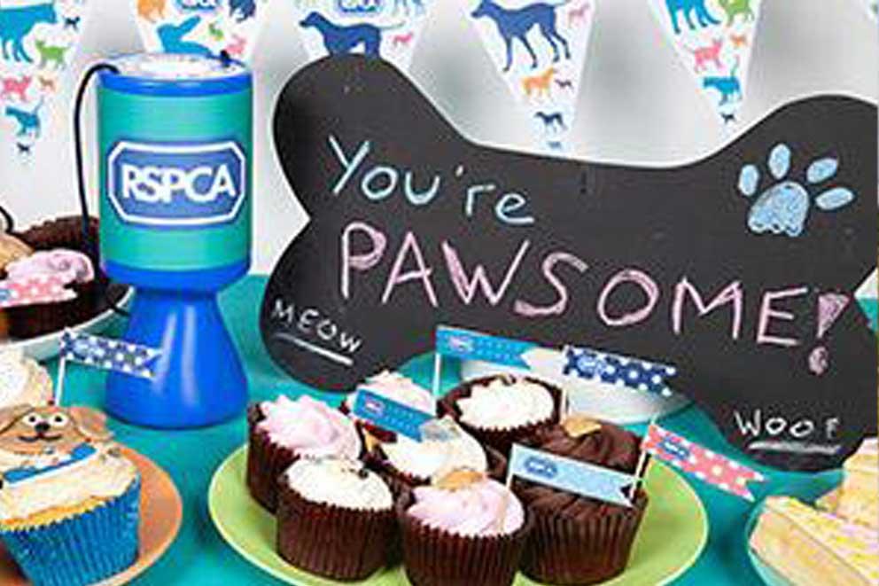 RSPCA collection tin with cakes for sale for charity.