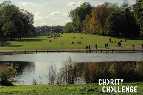 scenic view of a park with a lake