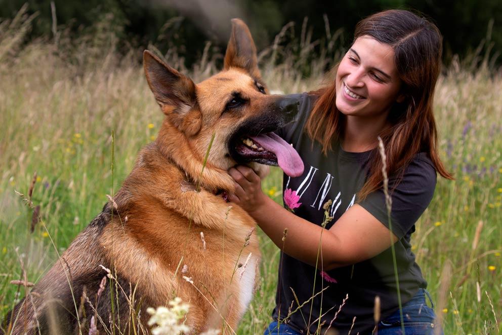 large dog with brown haired woman in field.