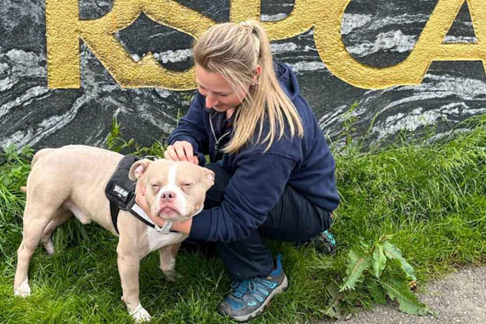 Debbie Caffull is an RSPCA Animal Centre Manager with one of their rescued dogs.