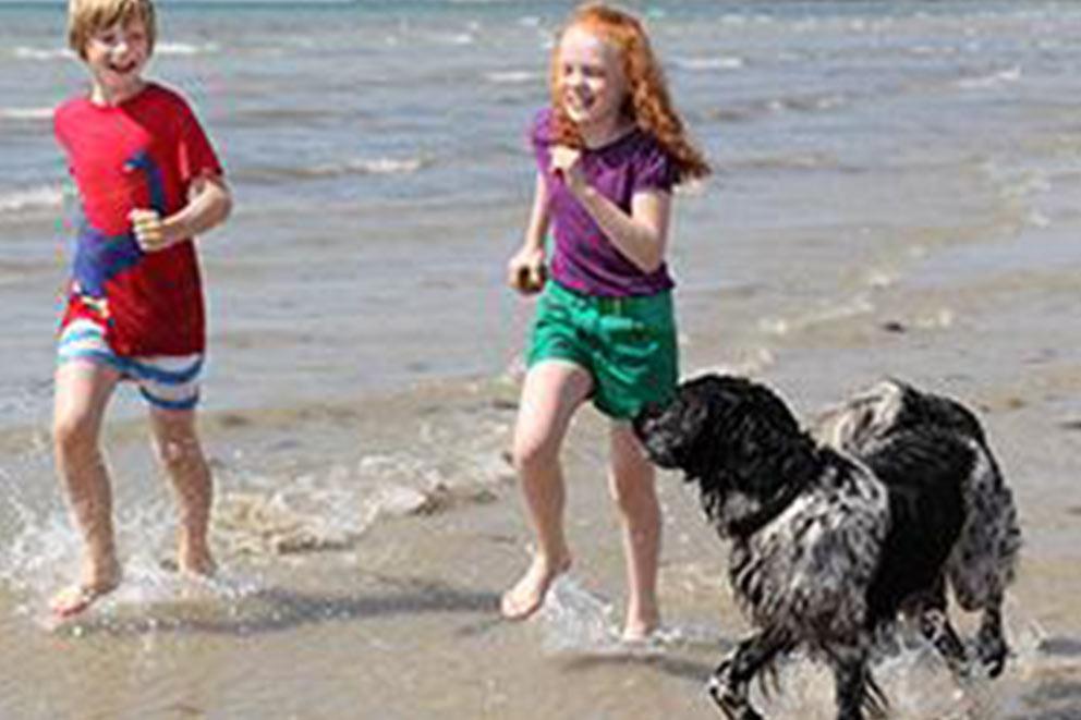 Two children running on the beach with a dog