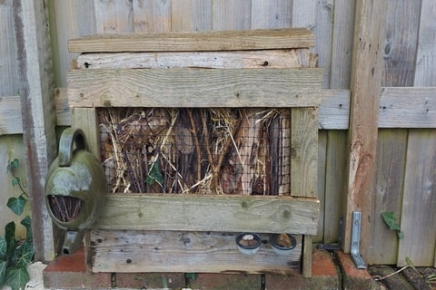 A ladybird home made from a wooden pallet, pine cones, logs and hay-filled teapots.