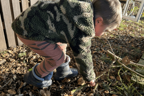 Young person scavenging for resources to use for a ladybird home around the garden.